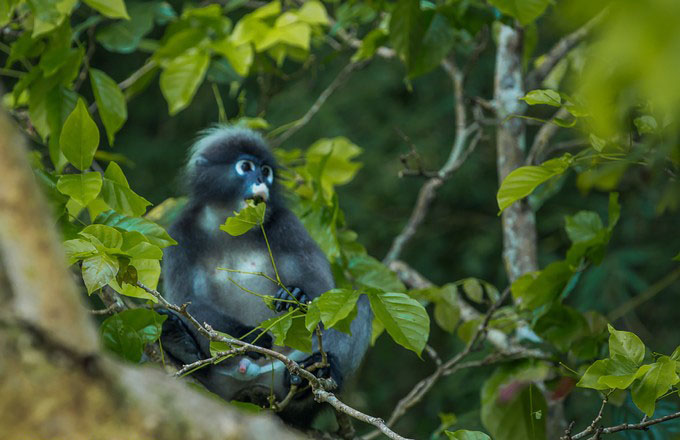 泰国甲米9天自由行 (泰国甲米半岛海上一日游)