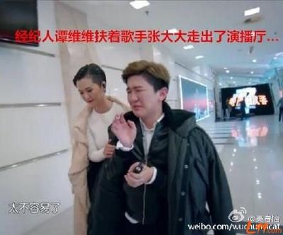 从经纪人到明星的艺人有哪些,从经纪人到娱乐大佬