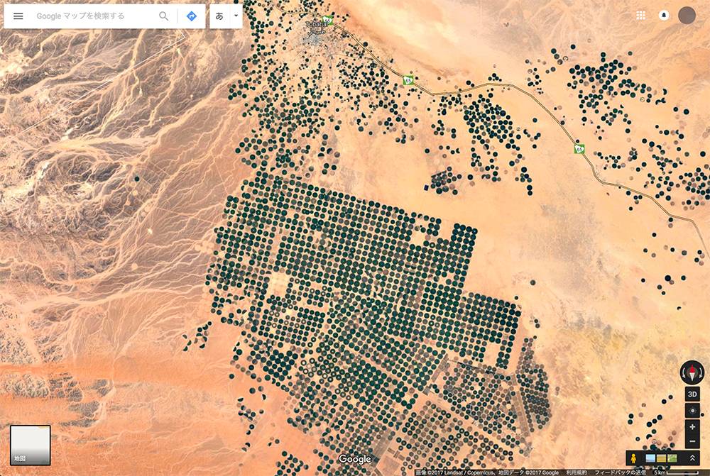 不只本·拉登，中东大佬都是宅