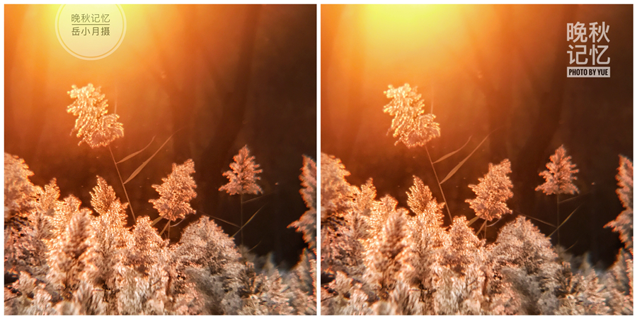 小米照片后期添加时间水印,苹果照片后期添加时间水印