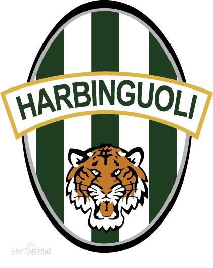 哈尔滨的前世今生,哈尔滨足球队历史