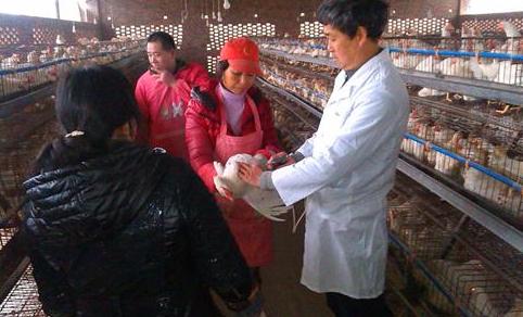 农民想创业但资金有限,农村小投资创业项目推荐2020