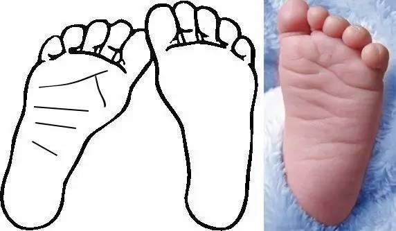 手相脚相对照表,看过完整的手相