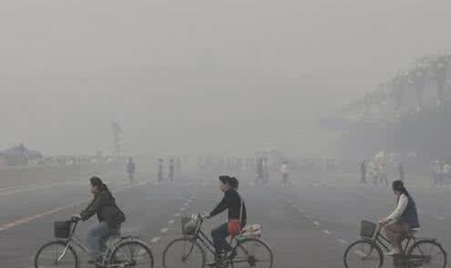 什么原因会导致儿童湿疹,小孩为啥得湿疹