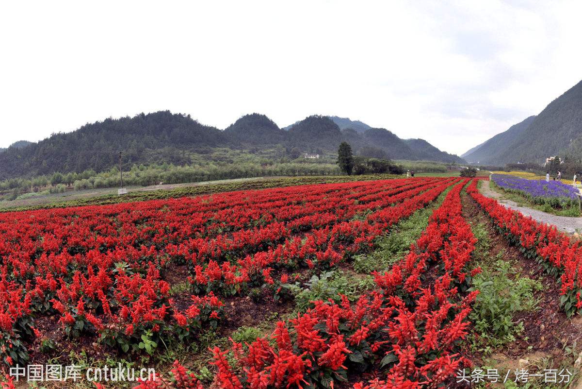 重庆旅游景点推荐排行榜,重庆旅游景点推荐学生
