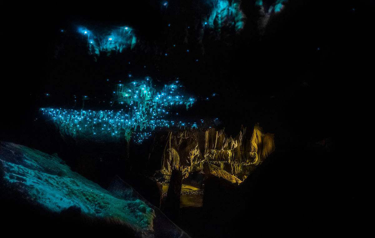 王凯、韩庚、邓紫棋、谢霆锋……明星最近为什么都去新西兰？