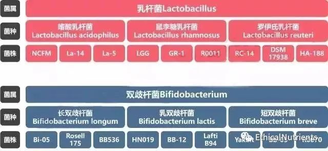 吃了益生菌人体有哪些变化,老人便秘怎么挑益生菌