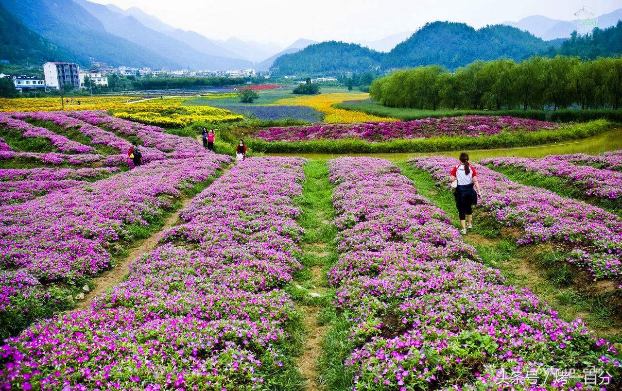 重庆旅游景点推荐排行榜,重庆旅游景点推荐学生