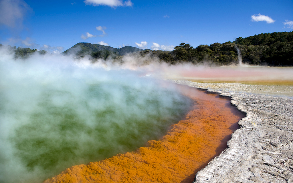 王凯、韩庚、邓紫棋、谢霆锋……明星最近为什么都去新西兰？
