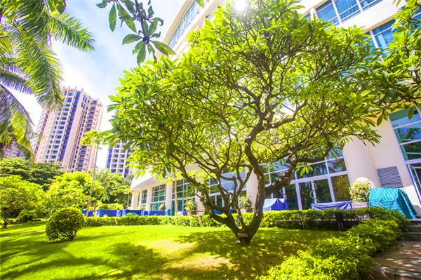 三亚的阳光与海滩,遇见阳光沙滩三亚