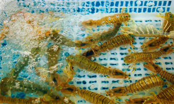 三亚的阳光与海滩,遇见阳光沙滩三亚