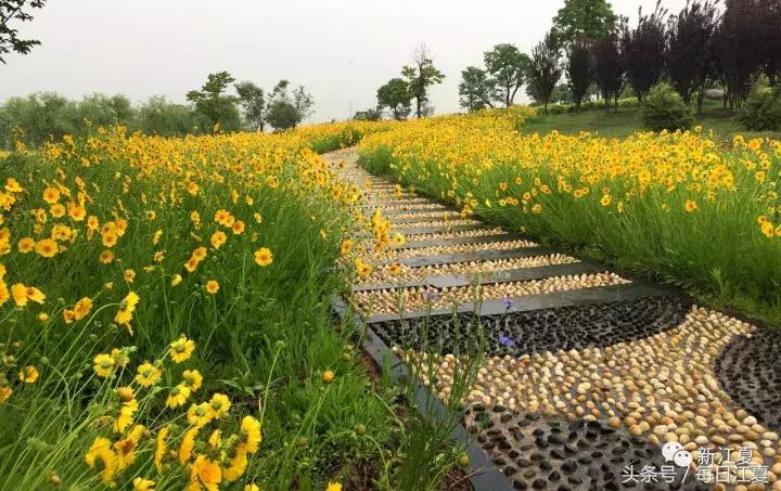 三生融合项目,金港镇滨江新城规划