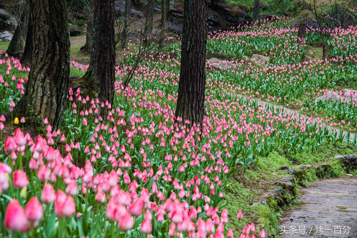 重庆旅游景点推荐排行榜,重庆旅游景点推荐学生