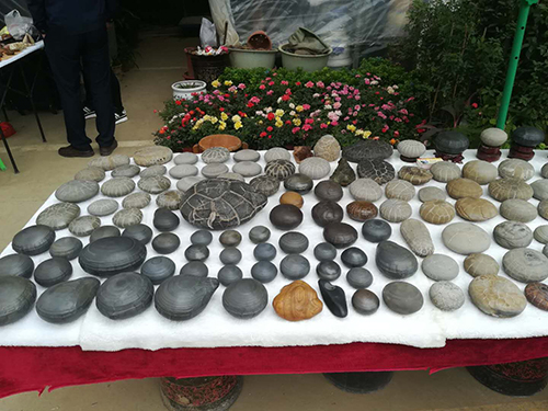 这几天在哪里挖玉石,这几天哪里可以捡玉石啊