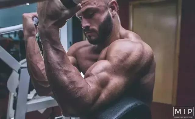 健身必备的七大补剂,健身补剂怎么搭配效果最好