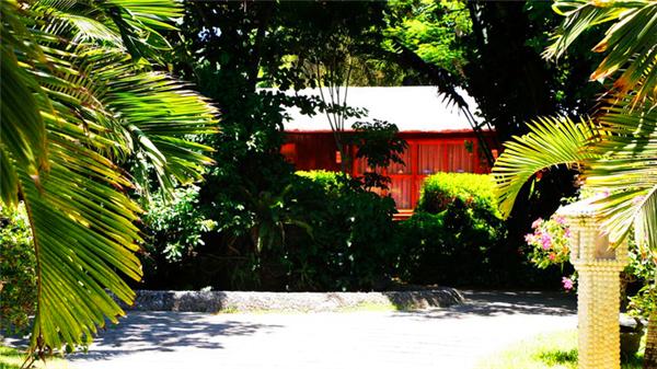 三亚的阳光与海滩,遇见阳光沙滩三亚