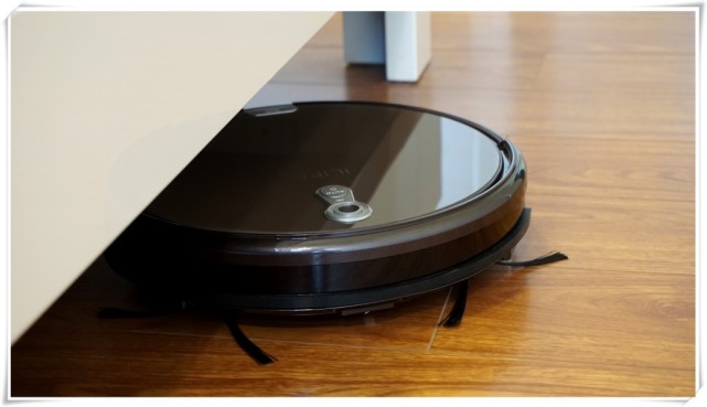 如何解决室内狗毛问题,狗掉毛的季节狗毛满天飞怎么办