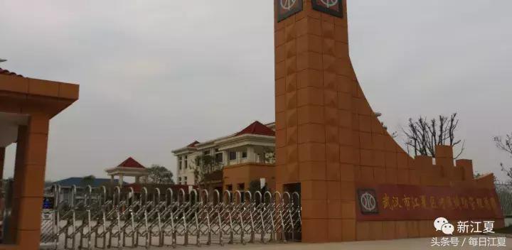 三生融合项目,金港镇滨江新城规划