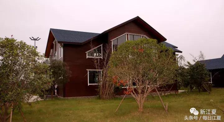 三生融合项目,金港镇滨江新城规划