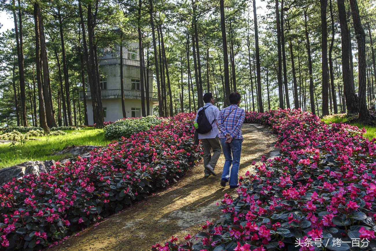 重庆旅游景点推荐排行榜,重庆旅游景点推荐学生