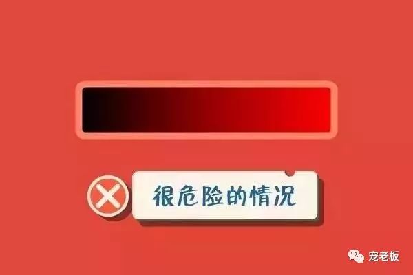 怎么挑选宠物店狗粮呢,宠物狗粮怎么挑选好坏