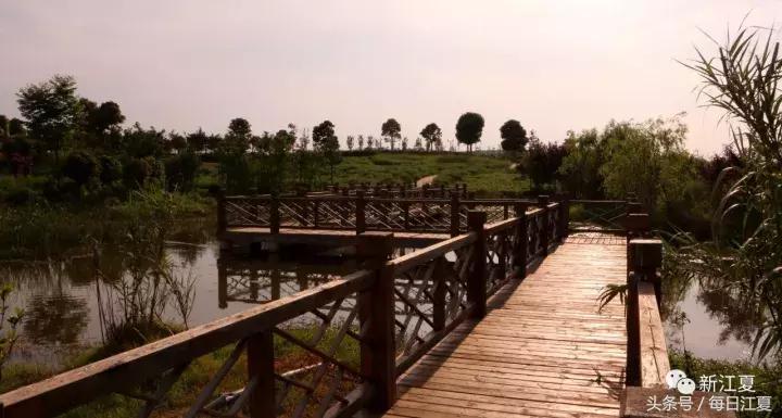 三生融合项目,金港镇滨江新城规划