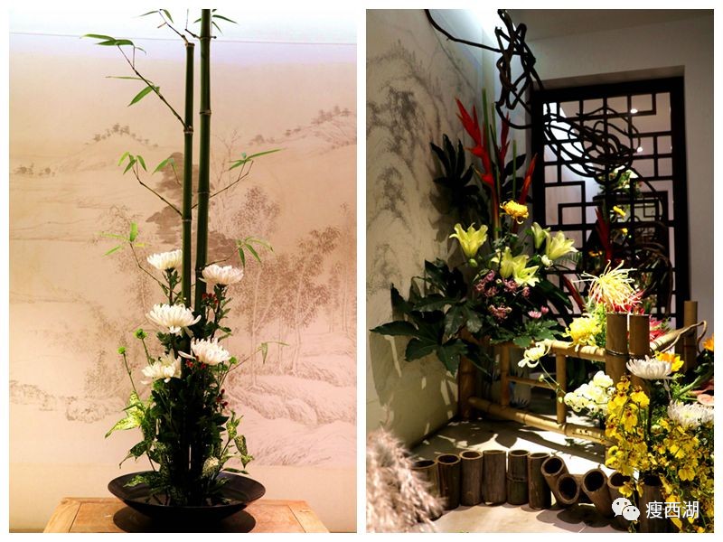 扬州瘦西湖艺术展,扬州瘦西湖盆景博物馆