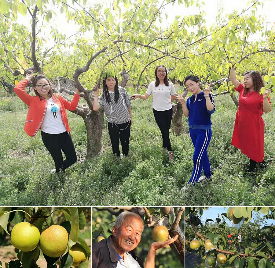 流量从哪里来,流量从哪来