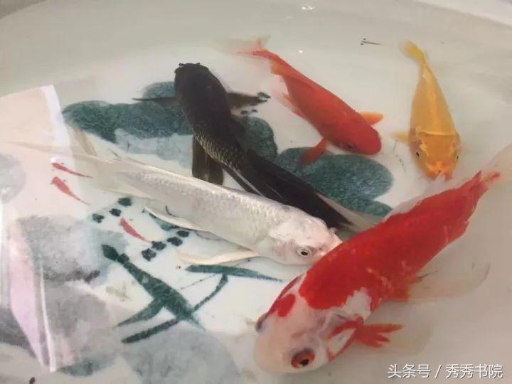 黄帝内经立冬如何养生,黄帝内经立冬后养生