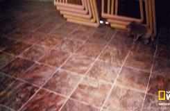 澶ц劯鐚殑鐑︽伡,澶ц劯鐚殑鐑︽伡瑙ｈ