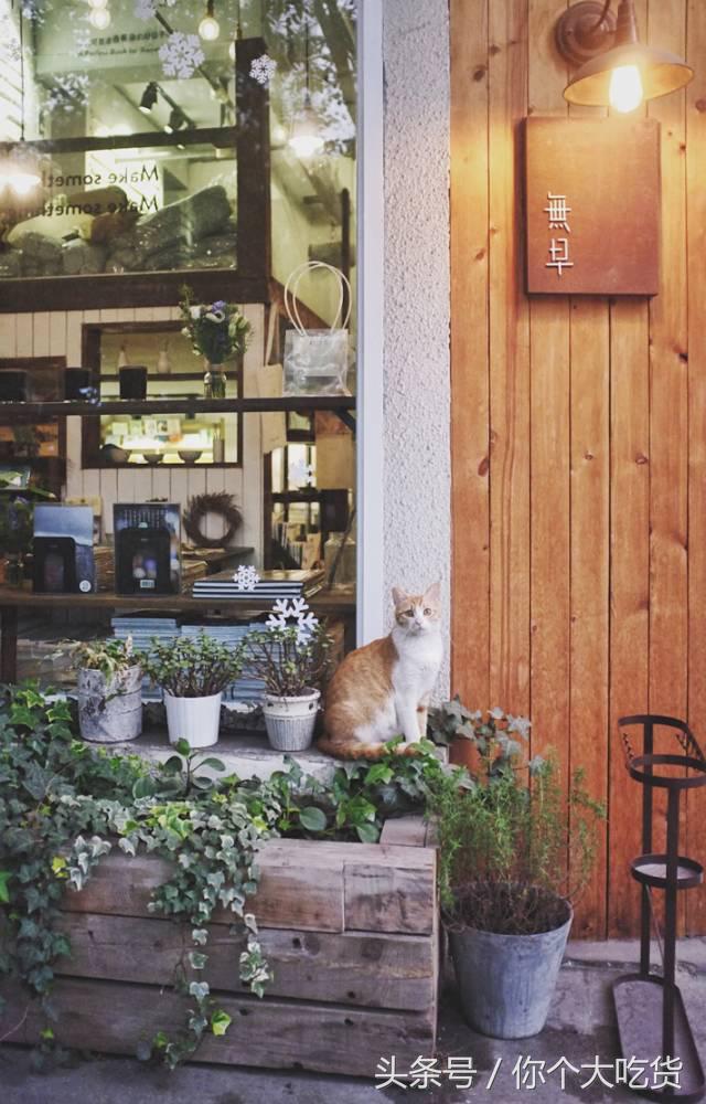 成都美食攻略吐血整理不踩雷,成都美食攻略当地骨灰级吃货推荐