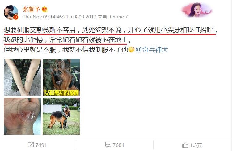 张馨予被狗咬的是哪个节目,张馨予为什么被狗咬伤
