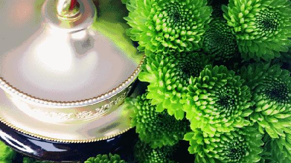 又要种草啦，高性价比面霜里到底哪款Morebetter呢？