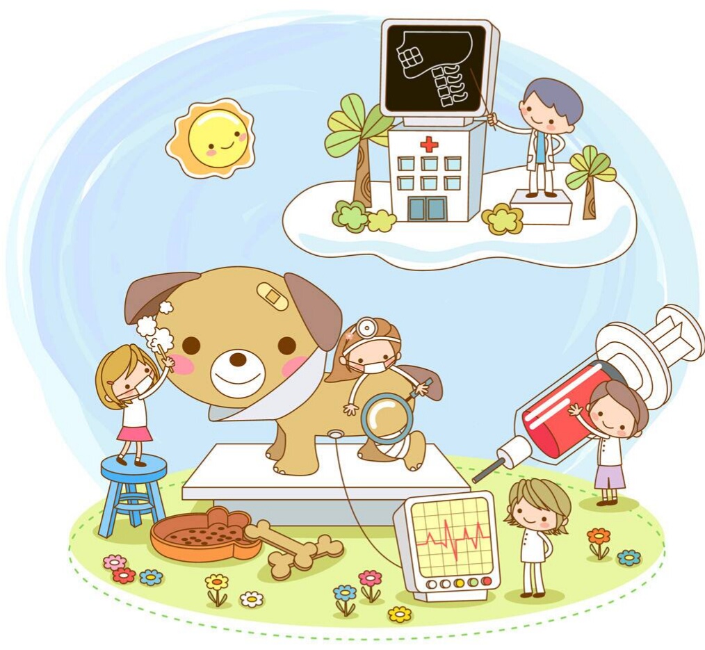 狗狗偷吃了巧克力后应该如何救治,宠物狗狗误食巧克力饼干该怎么办