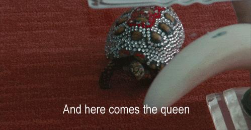 澶ц劯鐚殑鐑︽伡,澶ц劯鐚殑鐑︽伡瑙ｈ