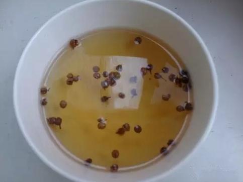 柴米油盐酱醋茶，养花效果不是一般得强！