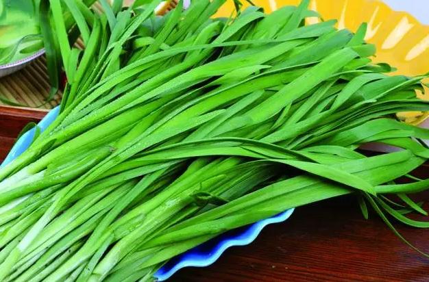 柴米油盐酱醋茶，养花效果不是一般得强！