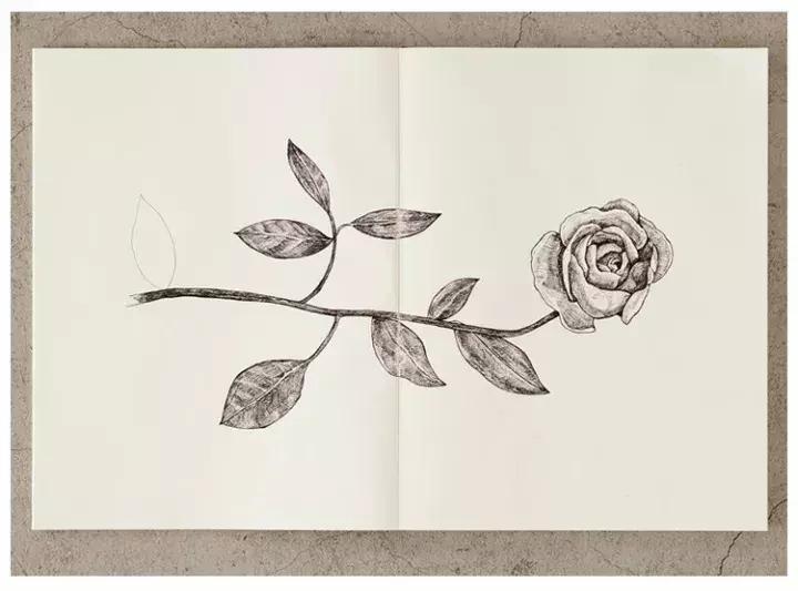 我的双十一购物清单搞笑,双十一必买清单小物件