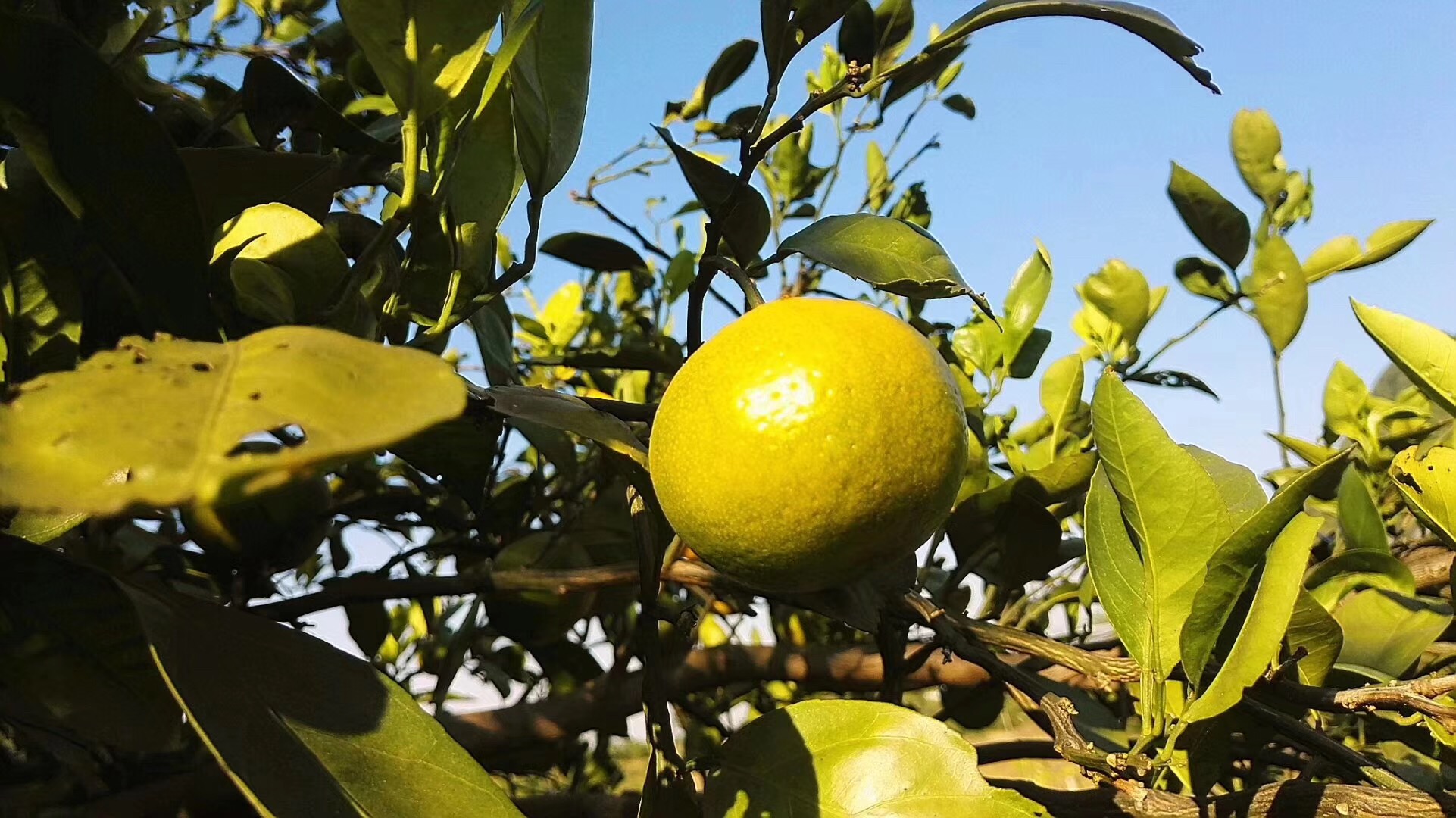 流量从哪里来,流量从哪来