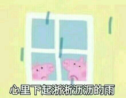 小猪佩奇表情包精选,表情包小猪佩奇可爱动图