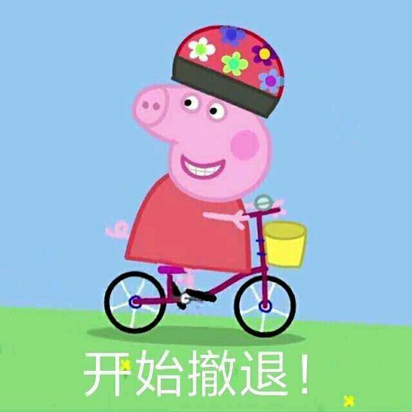 小猪佩奇表情包精选,表情包小猪佩奇可爱动图