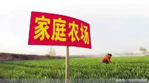 创业小作坊投资代理方案,创业小型家庭农场