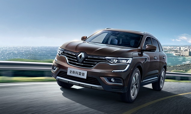 法国混血儿爸爸中国人,雷诺科雷傲正脸