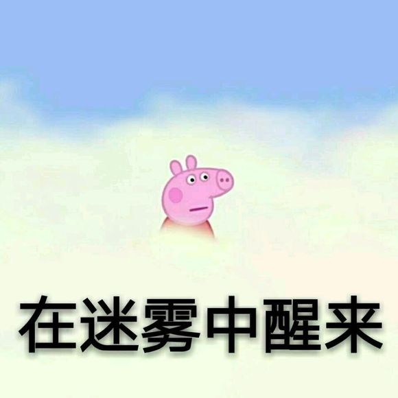 小猪佩奇表情包精选,表情包小猪佩奇可爱动图