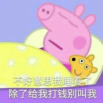 小猪佩奇表情包精选,表情包小猪佩奇可爱动图
