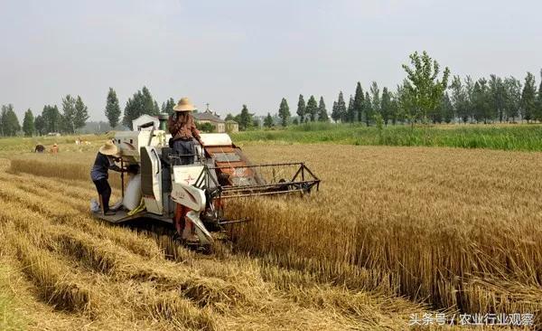 创业小作坊投资代理方案,创业小型家庭农场