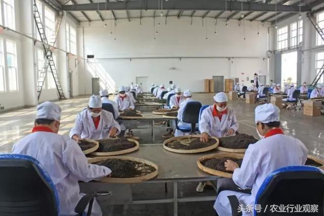 创业小作坊投资代理方案,创业小型家庭农场