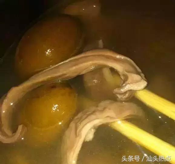 潮汕的水果有哪几种,潮汕特色野果是什么水果