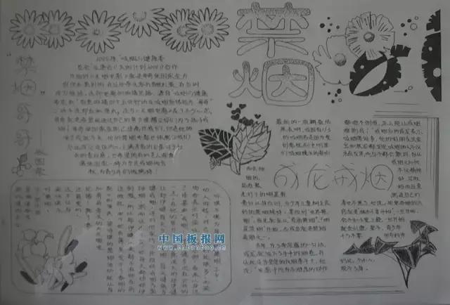 帮爸妈做家务手抄报简单漂亮,爸妈的手抄报