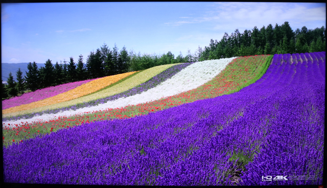 富可视infocus投影机使用教程,infocus富可视50英寸电视刷机